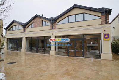 Spatiu comercial 100mp I Corbeanca | Paradisul Verde | Parcare - 1