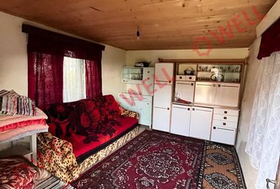 De vânzare casă în Dobolii de sus! - 13