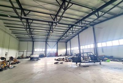 Hala de inchirat 880 mp, Zona Lugojului Aeroport - 7