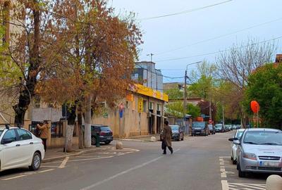 Brancoveanu I Teren 486 MP I Dubla Deschidere I - 23
