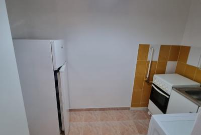 CISMIGIU STIRBEI VODA SALA PALATULUI, AP 2 CAM PARTER NEMOBILAT - 9