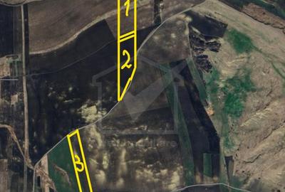 Teren in Fanatele Clujului Valea lui Craiu, 8.1 ha, extravilan - 3