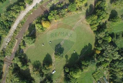 Teren 10.000 mp Calatele – Apuseni, langa rau, ideal investitie turism - 12