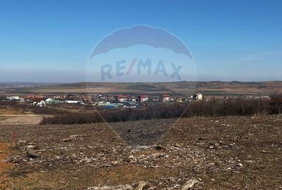 Teren de vânzare – Paleu, județul Bihor | 3 parcele a câte 618 mp - 7