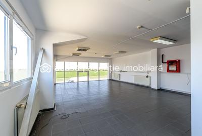 Hală industrială de vânzare 3495 mp zona Arad - 16