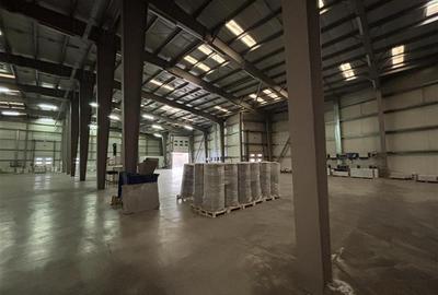 Inchiriere depozit/hala/spatiu industrial Chiajna - Ciorogarla A1 - KM13, ILFOV - 6