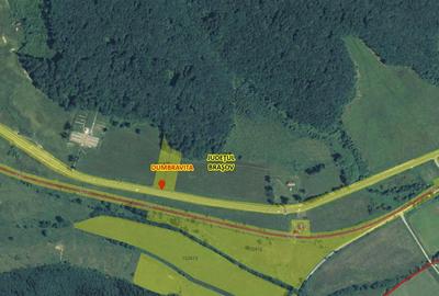 TEREN PRETABIL COMERCIAL, 5000 mp DN1 - 7