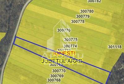 Teren Ignesti Jud. Arad 9814MP - 1