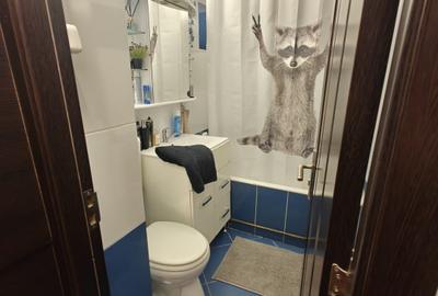 Apartament 2 camere 47 mp Targu Jiu, Strada Dacia - 3