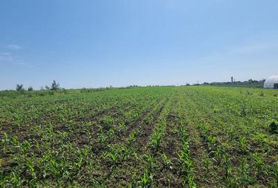 Teren intravilan in Catamarasti Deal - 1