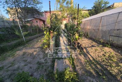 AP. 94MP 4CAM PARTER+GRADINĂ150MP GIARMATA-Timișoara - 10