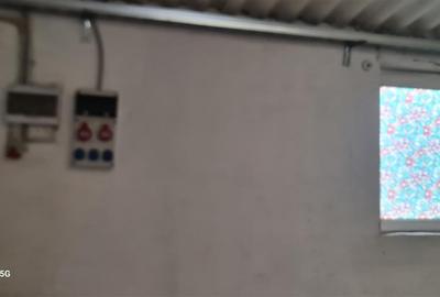 Hale pentru inchiriere aproape de Centura Arad si Autostrada A1 - 4