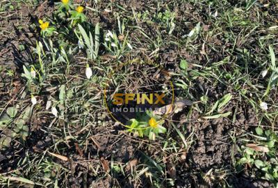 Parc Cismigiu, vanzare apartament 4 camere in vila interbelica - 19