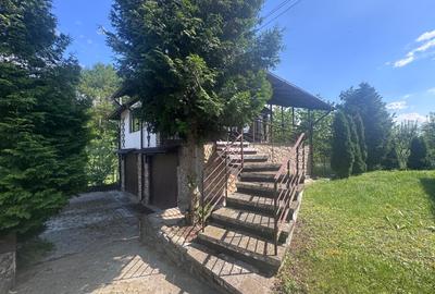PROPRIETATE DE CARACTER CU TEREN INTRAVILAN 5000 MP 10KM CAMPULUNG MUSCEL - 15