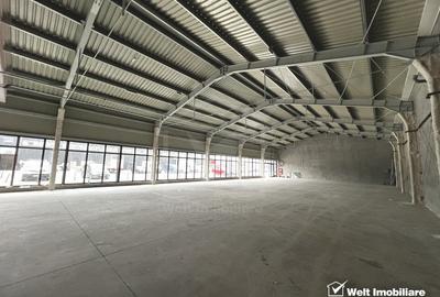 Spațiu comercial, 600 mp în Someșeni