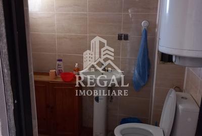 Două case de vânzare – Cerisor – teren generos 6996 mp - 5