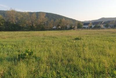 5200 sau 2600 mp teren vanzare,direct proprietar, parcelabil, apropiere Arinis - 10