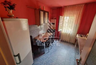 Apartament cu 2 camere de inchiriat, Timisoara, zona Lipovei, Centrala - 6