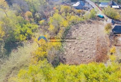 Teren de vânzare 11.766 mp – Costișa, județul Neamț - 11