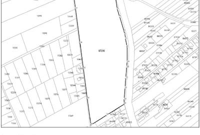 Teren intravilan 33.496 mp, Com. Bradu (fosta Com. Albota), Arges - 8