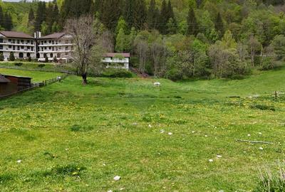 Intravilan | 10.000 mp| Sătic-Rucăr | Acces facil | Potențial excelent - 2