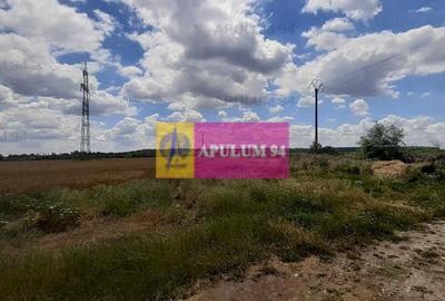 Teren 715mp în Snagov lângă Equestria - 24