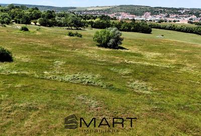 Teren extravilan 400mp Cisnadie - 1