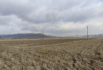 Teren agricol extravilan de 8895 mp, în Merișani