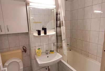 Apartament 2 camere în zona GRIGORE ALEXANDRESCU - 12