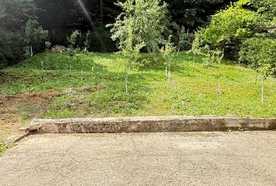 ZONA PARC - Valea Rosie (sus) casuta + vila cu teren 834mp finisate! - 13