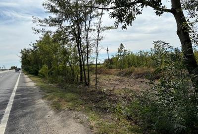 Teren de vanzare -32.130mp cu deschidere 105m la DN1, Ciolpani, cu PUZ. - 4