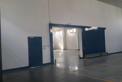 Showroom cu Spațiu de Depozitare — 700 mp | Otopeni - 5