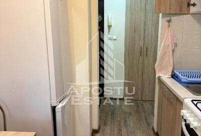 Apartament 2 camere de inchiriat, Take Ionescu, Timisoara - 6