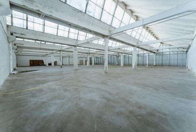Spațiu industrial, 1174 mp în UTA
