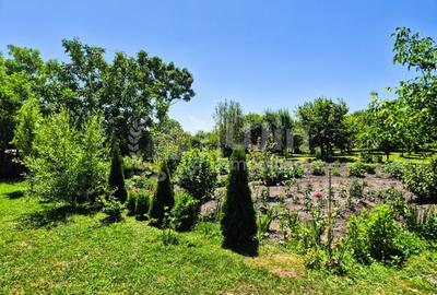 Casa individuala 91mp util | Teren 2382mp | Front 39ml | Aiton - 10