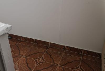 Apartament 3 camere Giurgiului - Luica - 11