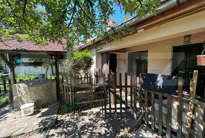 Casa saseasca Harman, ideala pentru o familie mare sau investitie - 6