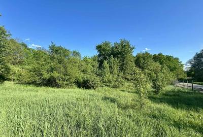 Teren 1000-2000mp intravilan in Gradina Botanica Iasi, 200€/mp, utilitati - 9