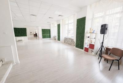 Spatiu de birouri Universitate Vasile Lascar - Cartieru Armenesc - 1