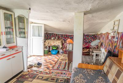 Casă din chirpici, bucătărie de vară și 1.34 ha de teren, Ardeoani - 8