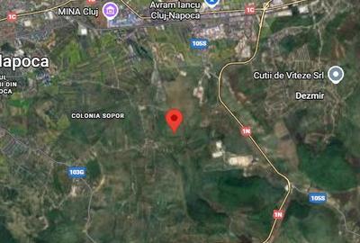 Teren intravilan in zona Tufele Rosii | Colonia Sopor | 2.990 mp - 1