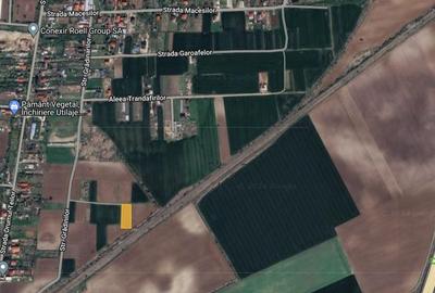 Ocazie! 1500 mp intravilan Caciulati, acces rapid A3 - 4