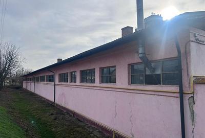 Hala industriala de vanzare in Marghita – 930 mp utili, teren 2470 mp, toate uti - 10