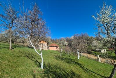 Casa de vanzare intr o zona linistita la 150m de strada principala - 6