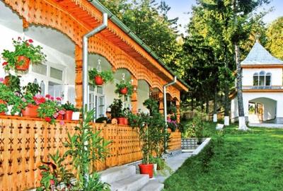 Teren intravilan 3480 mp Jariștea liniște , utilități, ideal casă de vacanta - 7