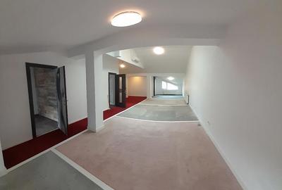 Piata Muncii –Calea Calarasilor,vila 12 camere, suprafata 370mp,curte 150mp - 4