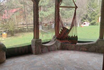 CASĂ DE VACANȚĂ 5 CAMERE,POINANA MĂRULUI, JUD.CARAȘ-SEVERIN - 7