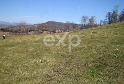 Vand Teren in Curtea de Arges suprafata 5000mp - 3