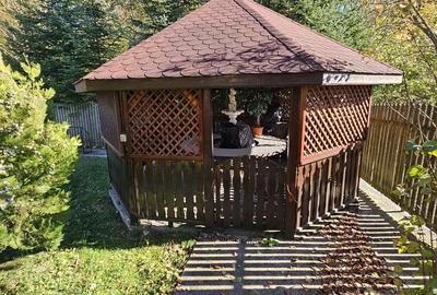 Vila 7 camere 320 mp- Valea Neagra-Prahova, mobilata/utilata complet! - 29