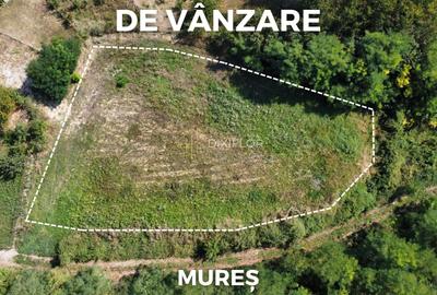 Teren Construcții intravilan de 1655 mp, în Morești